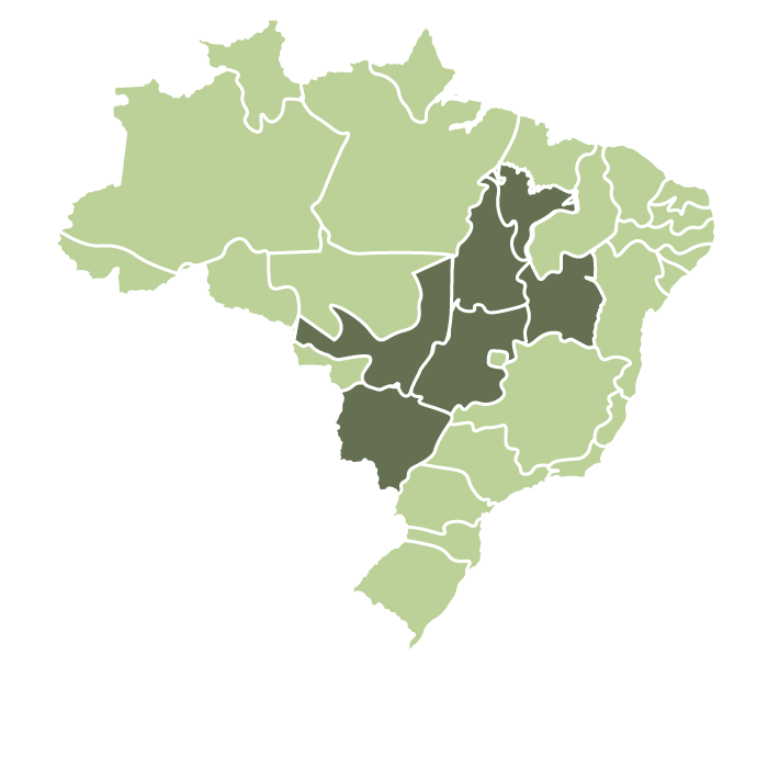 Brazil Cerrado Natural