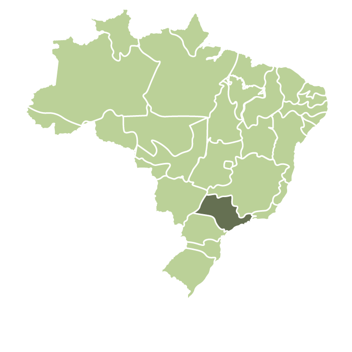 Brazil Mogiana Natural