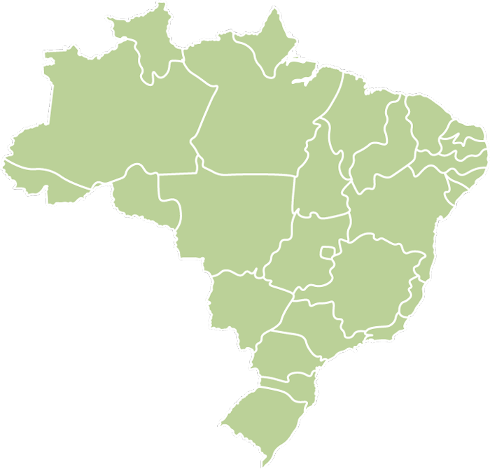 Brazil Coffee Santos Premio Alfanoos SC17/18