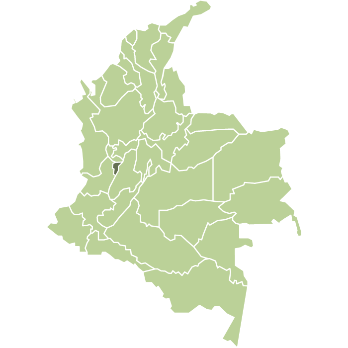 Colombia Grape Infusion