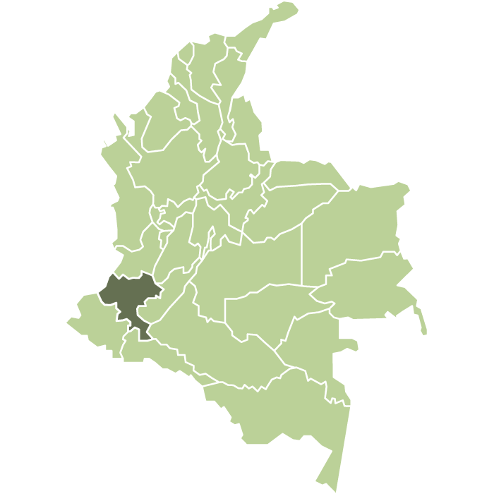 Colombia Inzã Cauca Washed