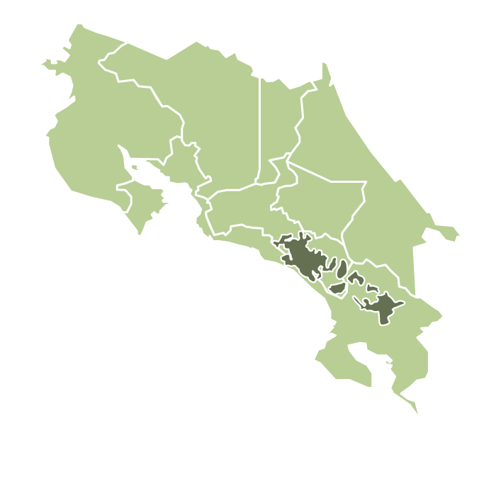 كوستاريكا خوان لوبيز مجفف