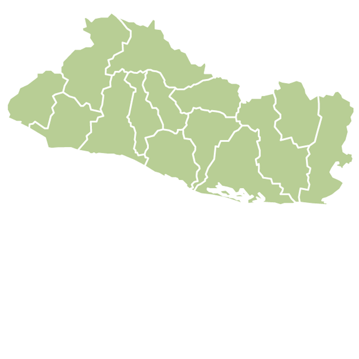 El Salvador Primera Washed