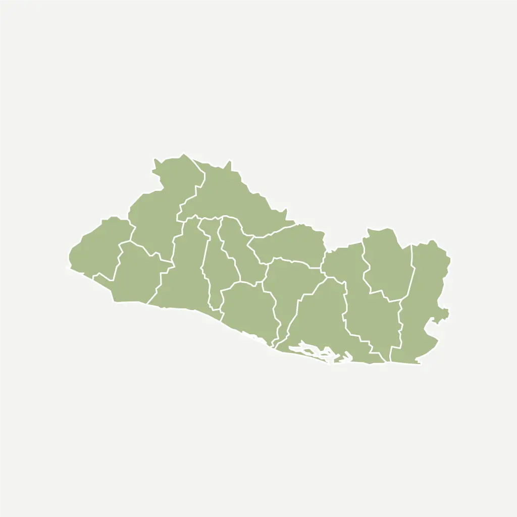 El Salvador Las Mercedes Washed