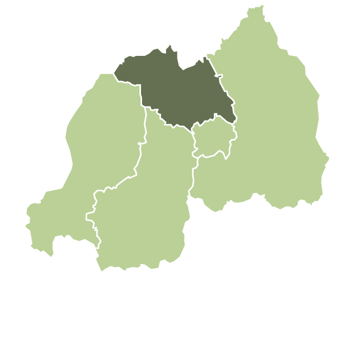 رواندا موساسا مجفف