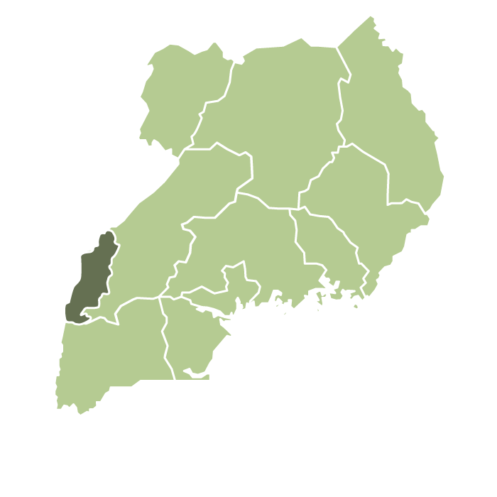 Uganda Bujuku Natural