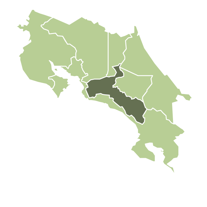 Costa Rica Tarrazu Washed