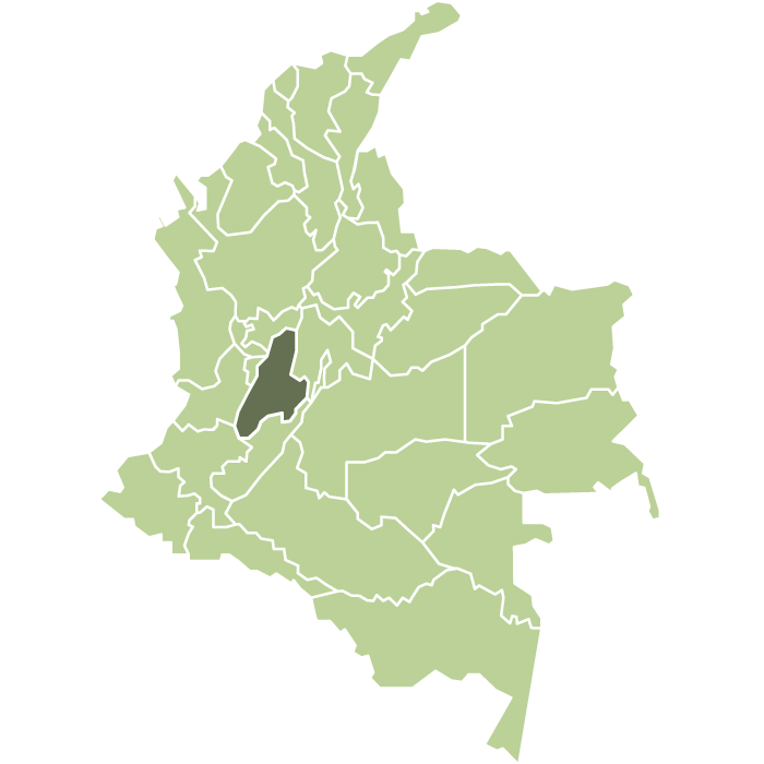 Colombia La Fresa Castillo Natural