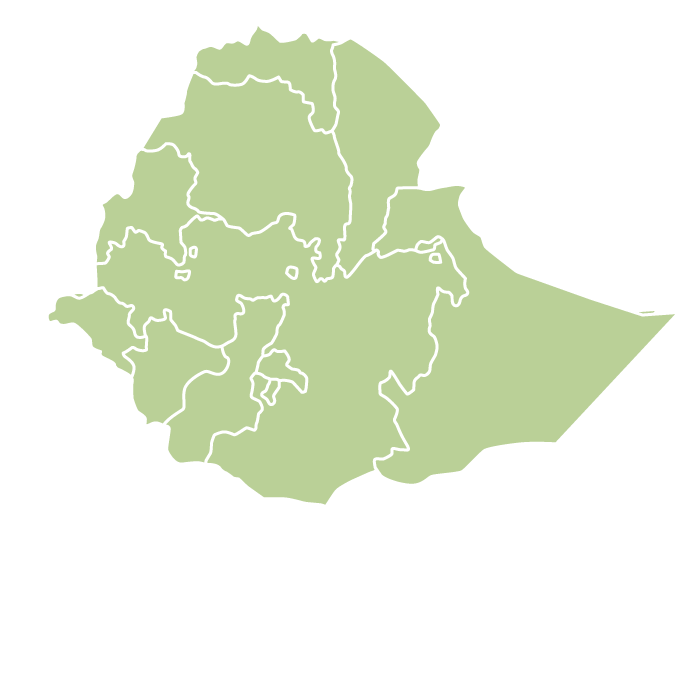 Ethiopia Alfanoos Selection Natural