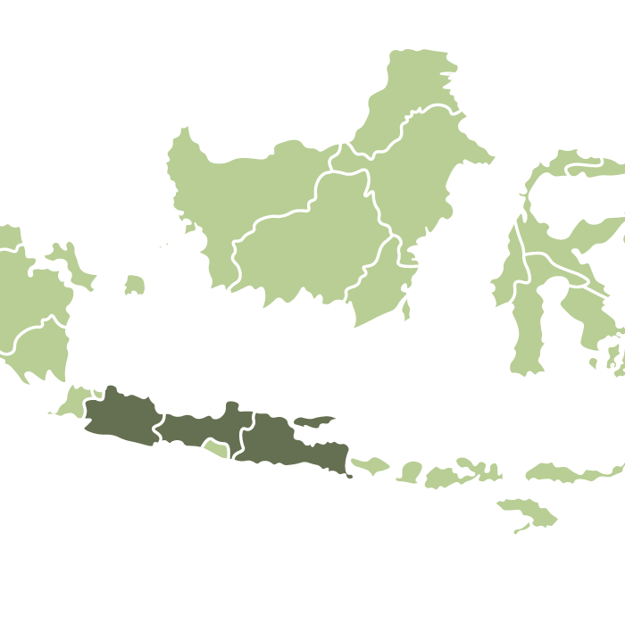 Indonesia Wanoja Natural