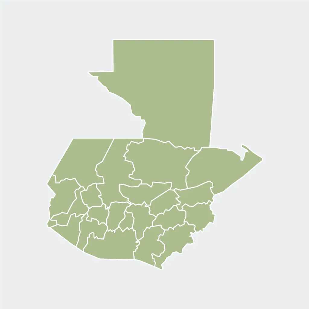 Guatemala Finca Concepción Buena Vista Anaerobic