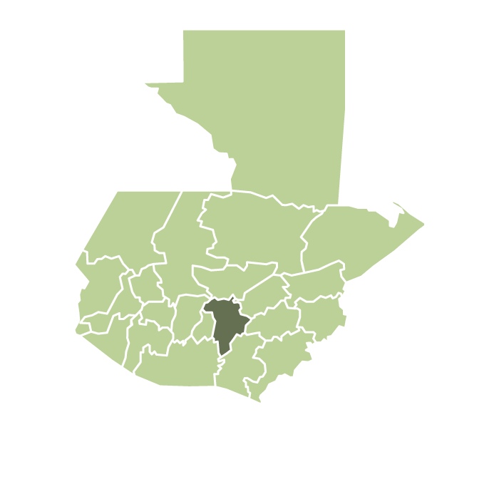 Guatemala Finca Concepción Buena Vista Anaerobic