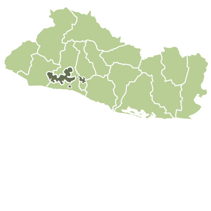 El Salvador Montecristo Natural