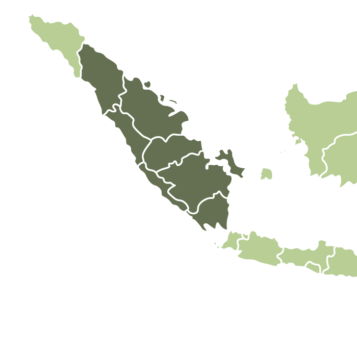 Indonesia Sumatra Bener Meriah Natural