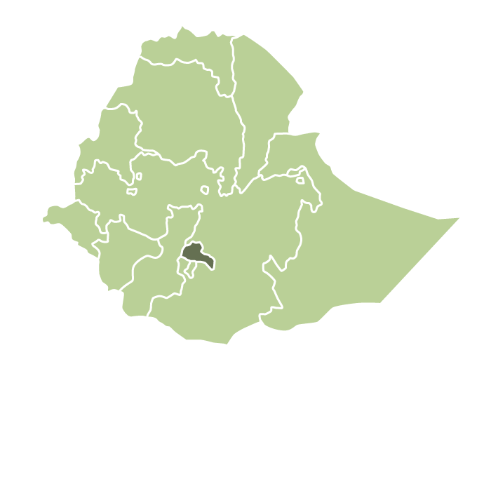Ethiopia Sidamo DECAF SWISS WATER ® Process