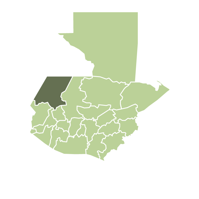Guatemala Huehuetenango Fruity Washed