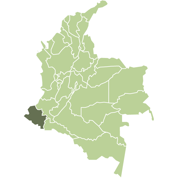 كولمبيا ادريان ارميرو بوربون مجفف