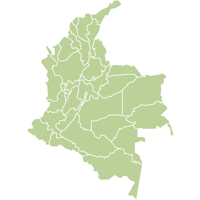 Colombia El Dorado Natural