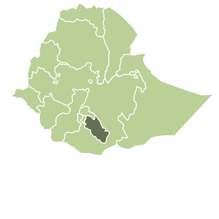 Ethiopia Urabeast Natural