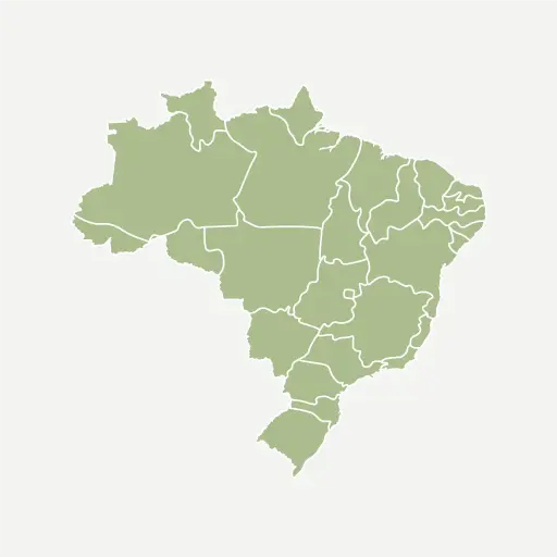 [3807] برازيل موجيانا مجفف