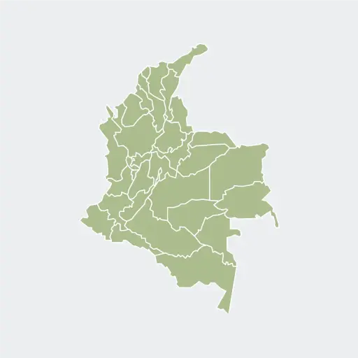 [3686] Colombia Inzã Cauca Washed