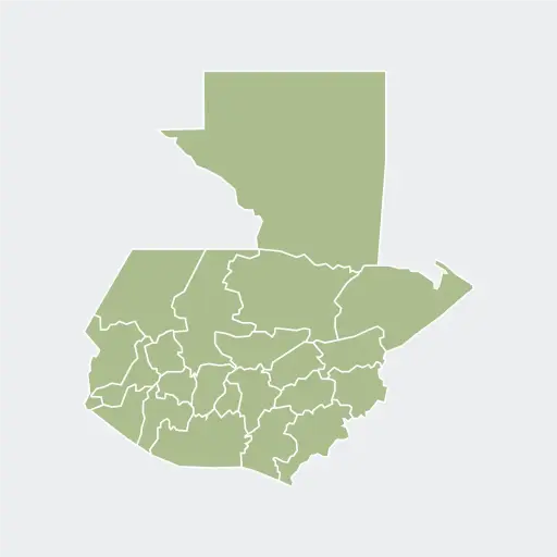 [3615] Guatemala Finca Concepción Buena Vista Anaerobic