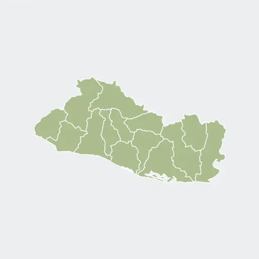 [3146] El Salvador San Miguel SHG Washed