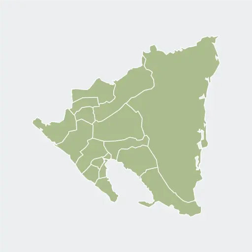 [3769] Nicaragua Buenos Aires Maragogype Natural